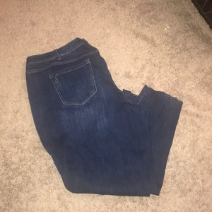 Lane Bryant Boyfriend jeans  size 24